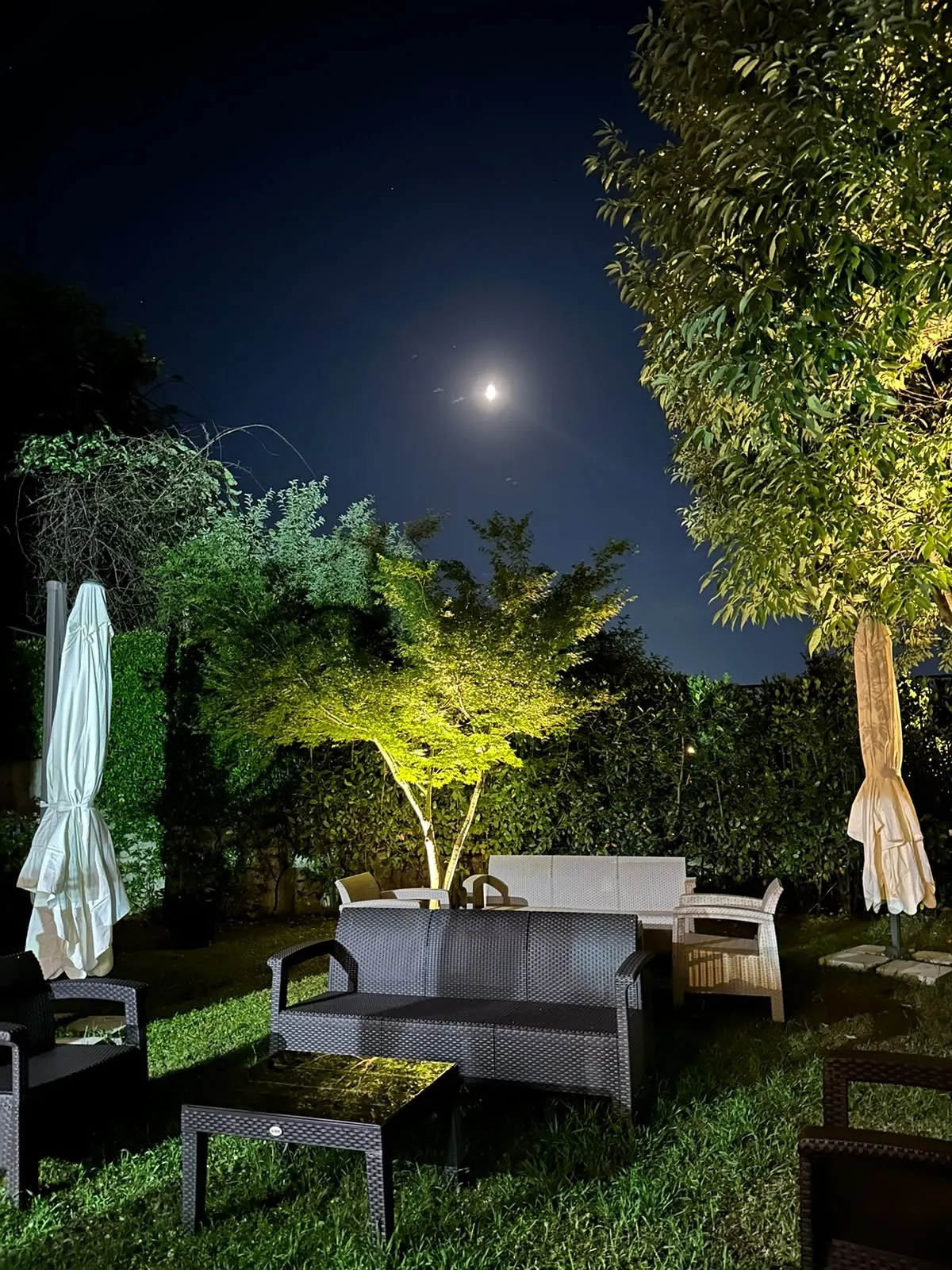 The hotel garden at night with lit trees and lounge furniture under the moon