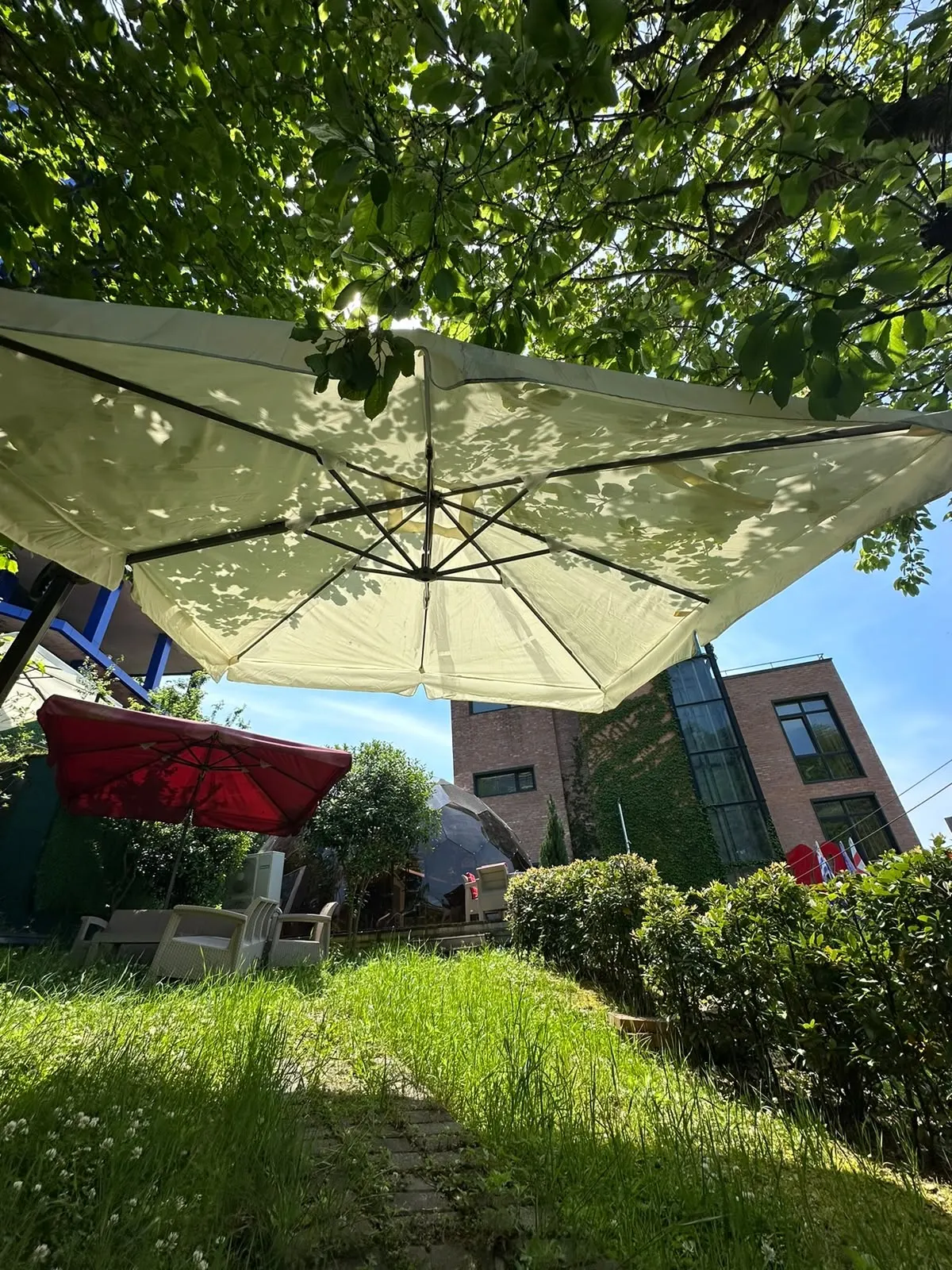 A sunny corner of the garden under a large parasol
