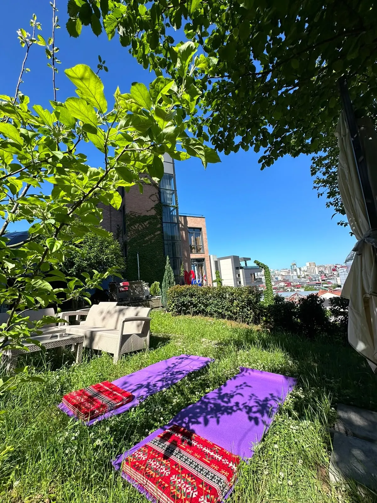 Yoga mats laid out on the garden lawn